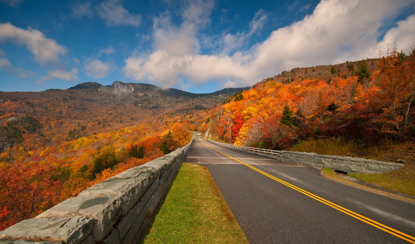 Blue Ridge Balloon & Vineyard Escape: schilderachtig avontuur in Noord-Carolina en Virginia