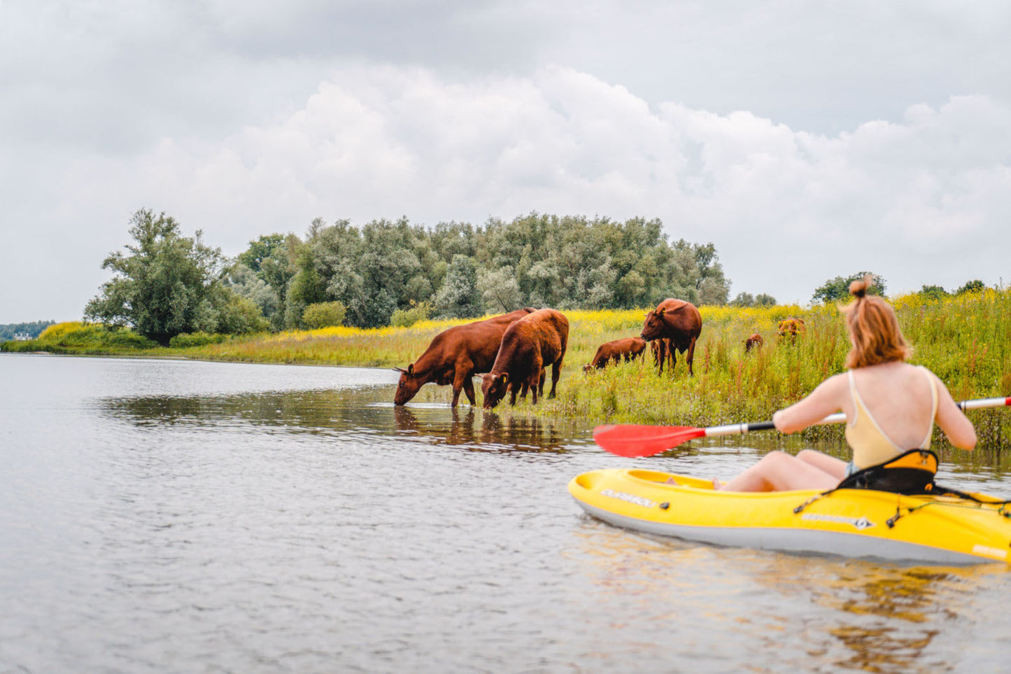 Campervan Retreat op het Franse platteland met Campspace