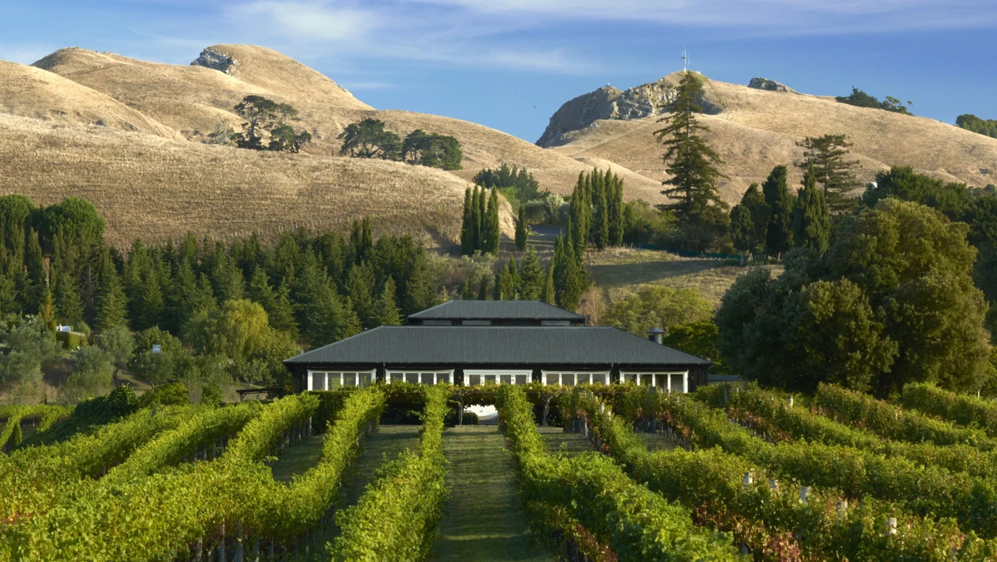 Cape Kidnappers, Vineyards & Hot Springs