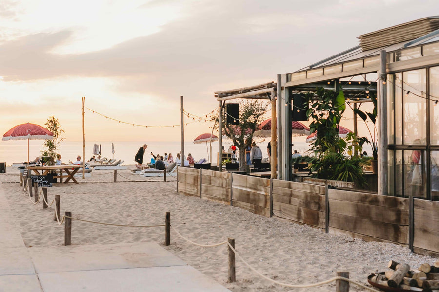 Family Beach, Forest & City Roadtrip of the Netherlands