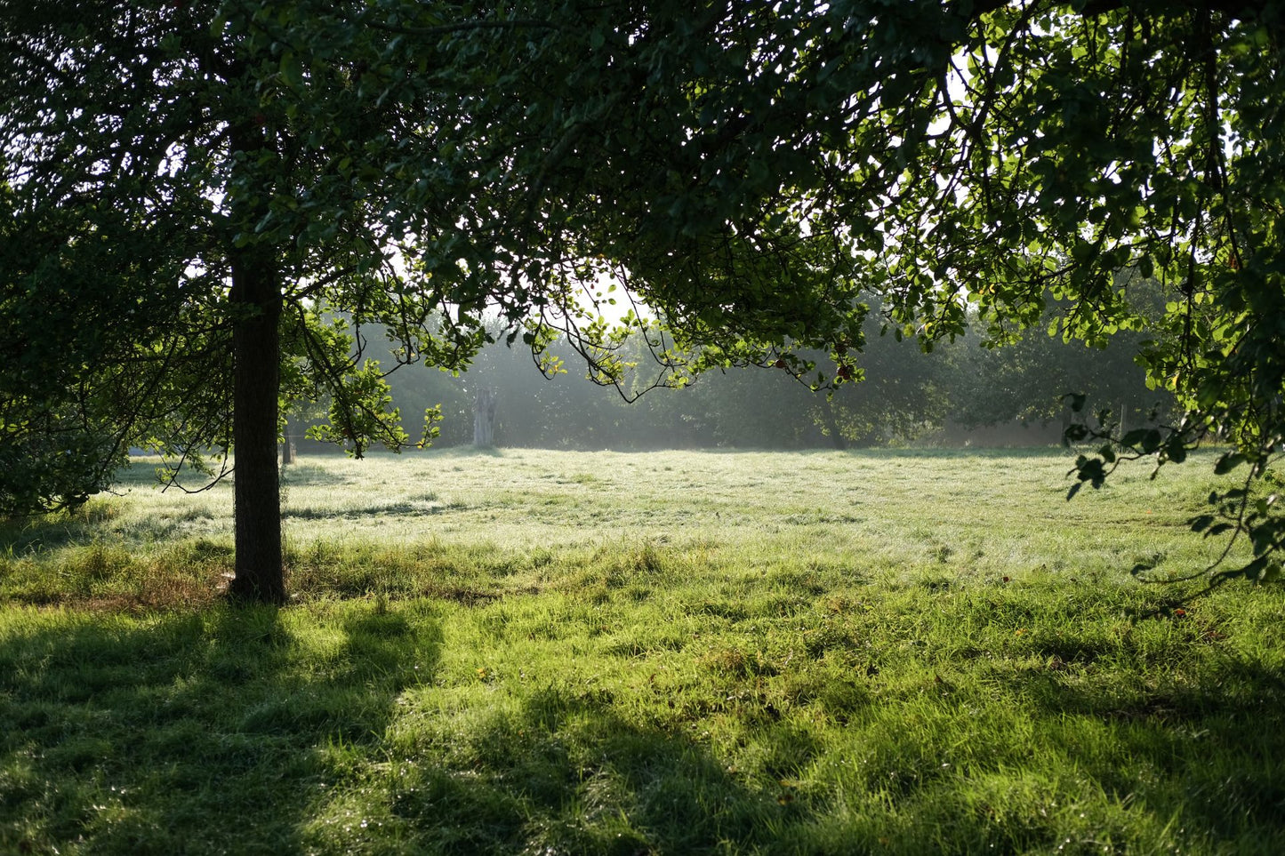 Verblijf op een werkende ciderboerderij: Wye Valley and Snowdonia