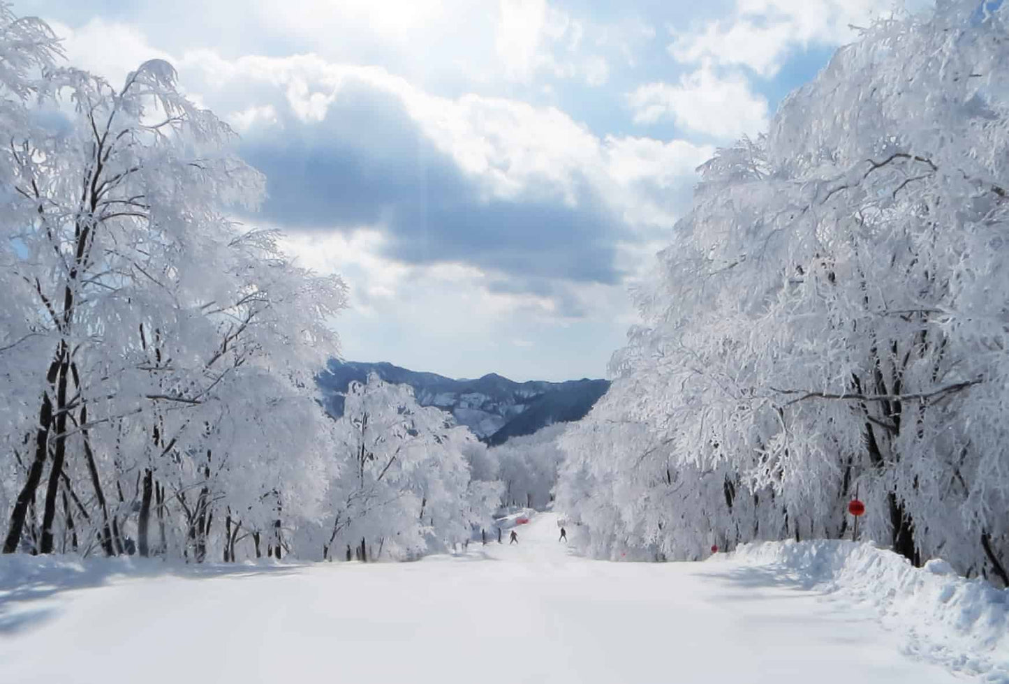 Japan Family Explorer: Honshu Ski & Culture Tour
