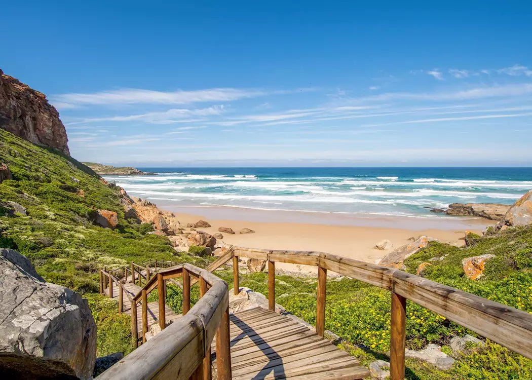 π Addo Elephant Trail Race + Run Garden Route (19th Mar '26)