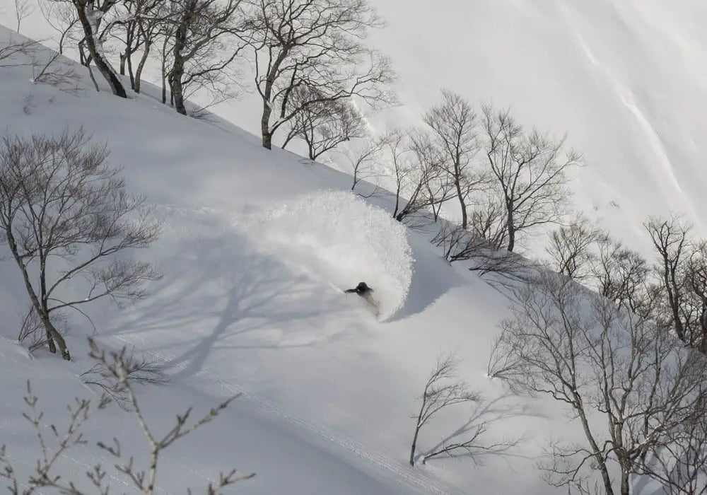 Hokkaido Powder Escape: Campervan Ski Adventure
