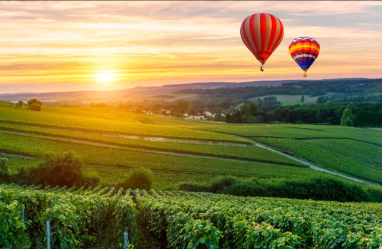 Champagneballon & plattelandsontsnapping: avontuur in de Franse wijnstreek