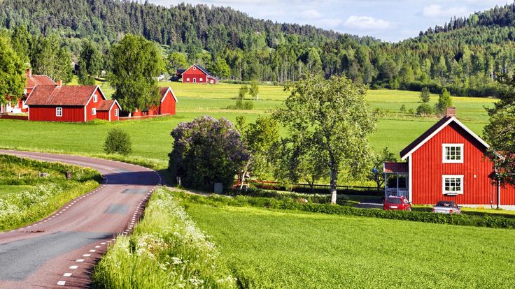 Lakes, Forests & Freedom: Sweden’s Great Family Campervan Escape