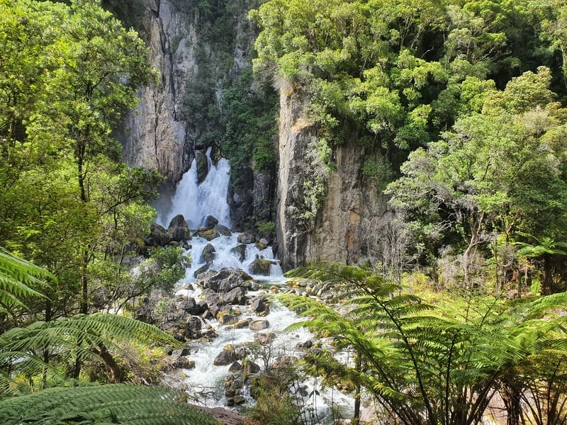 🏁 Tarawera Ultra-Trail + Run Rotorua, Taupō & Bay of Islands (8 februari '26)