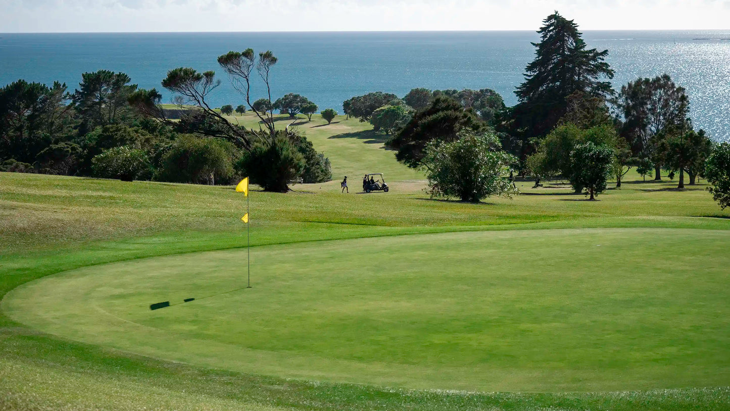 Cape Kidnappers, Vineyards & Hot Springs