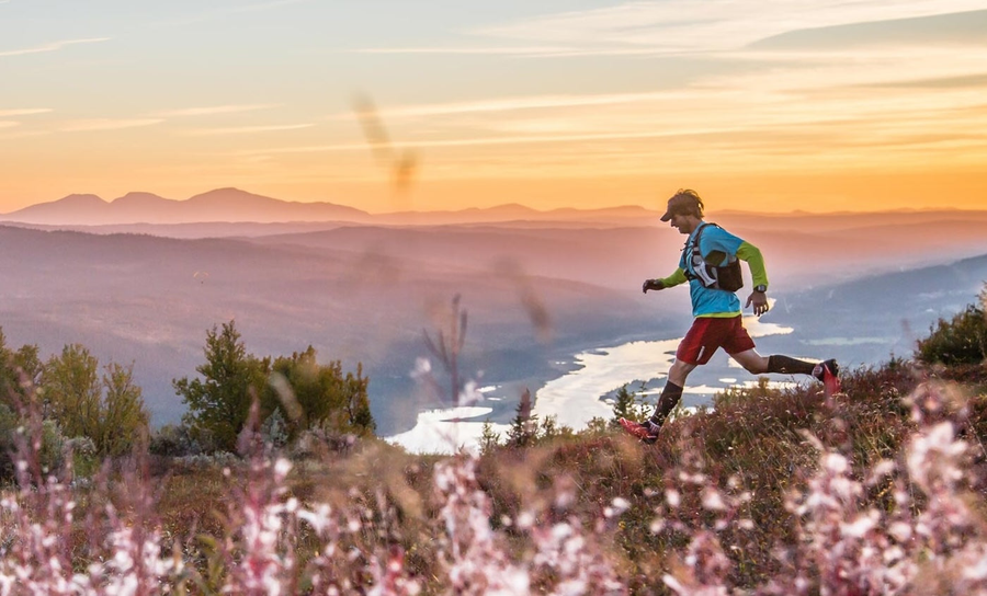 Running holidays with a campervan