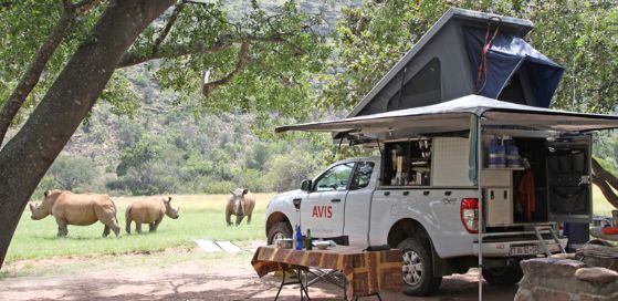 Safari & wildlife holidays with a motorhome