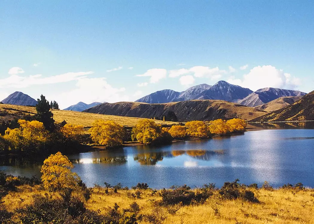 New Zealand South Island: Stars, Suspension Bridges & Scenery