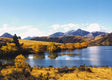 New Zealand South Island: Stars, Suspension Bridges & Scenery