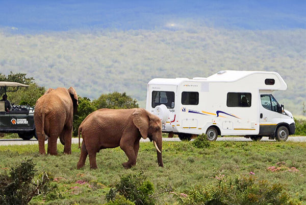 Family Beach & Safari Adventure through Garden Route to Cape Town by RV