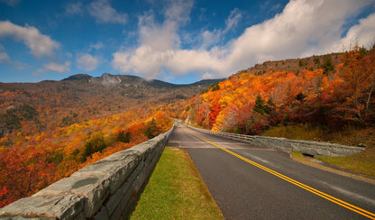 Blue Ridge Balloon & Vineyard Escape: schilderachtig avontuur in Noord-Carolina en Virginia