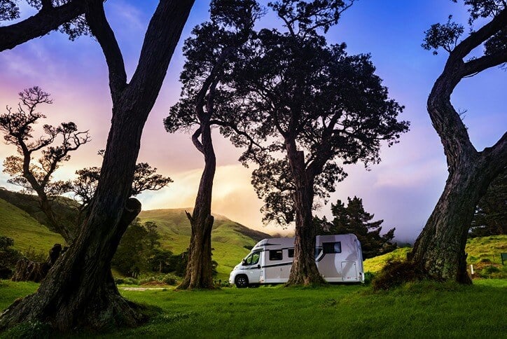 Cape Kidnappers, Vineyards & Hot Springs