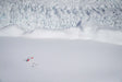 Fox Glacier Helicopter Flight & Snow Landing