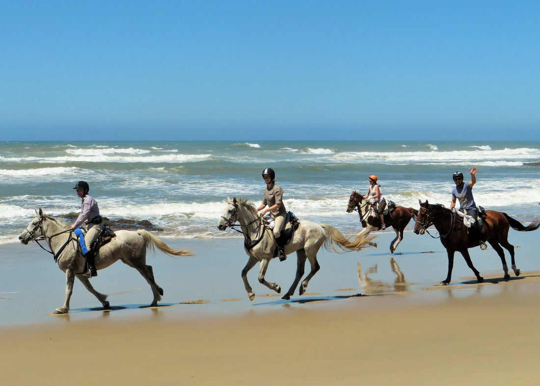 Galoppeer langs Gletana Beach aan de Wilderness Coastline