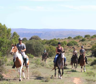 Rijd te paard door het Amakhala-reservaat