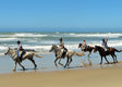 Paardrijden, kust en wijnstreek roadtrip door Zuid-Afrika