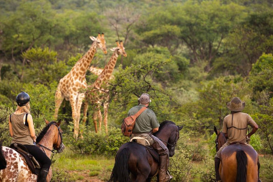 South Africa Horse Riding, Coast & Winelands Roadtrip