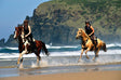 Galoppeer langs Gletana Beach aan de Wilderness Coastline