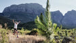 Winelands, Table Mountain & Hermanus Running Loop