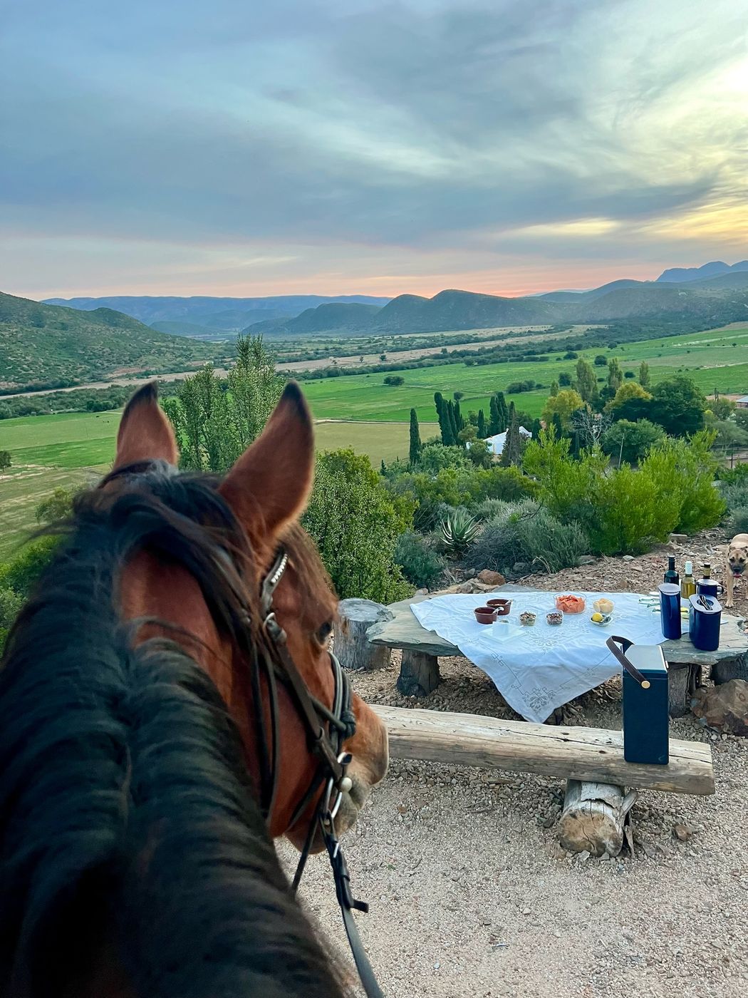 Rijden en overnachten op Doornkraal Farm in het Karoo bushveld