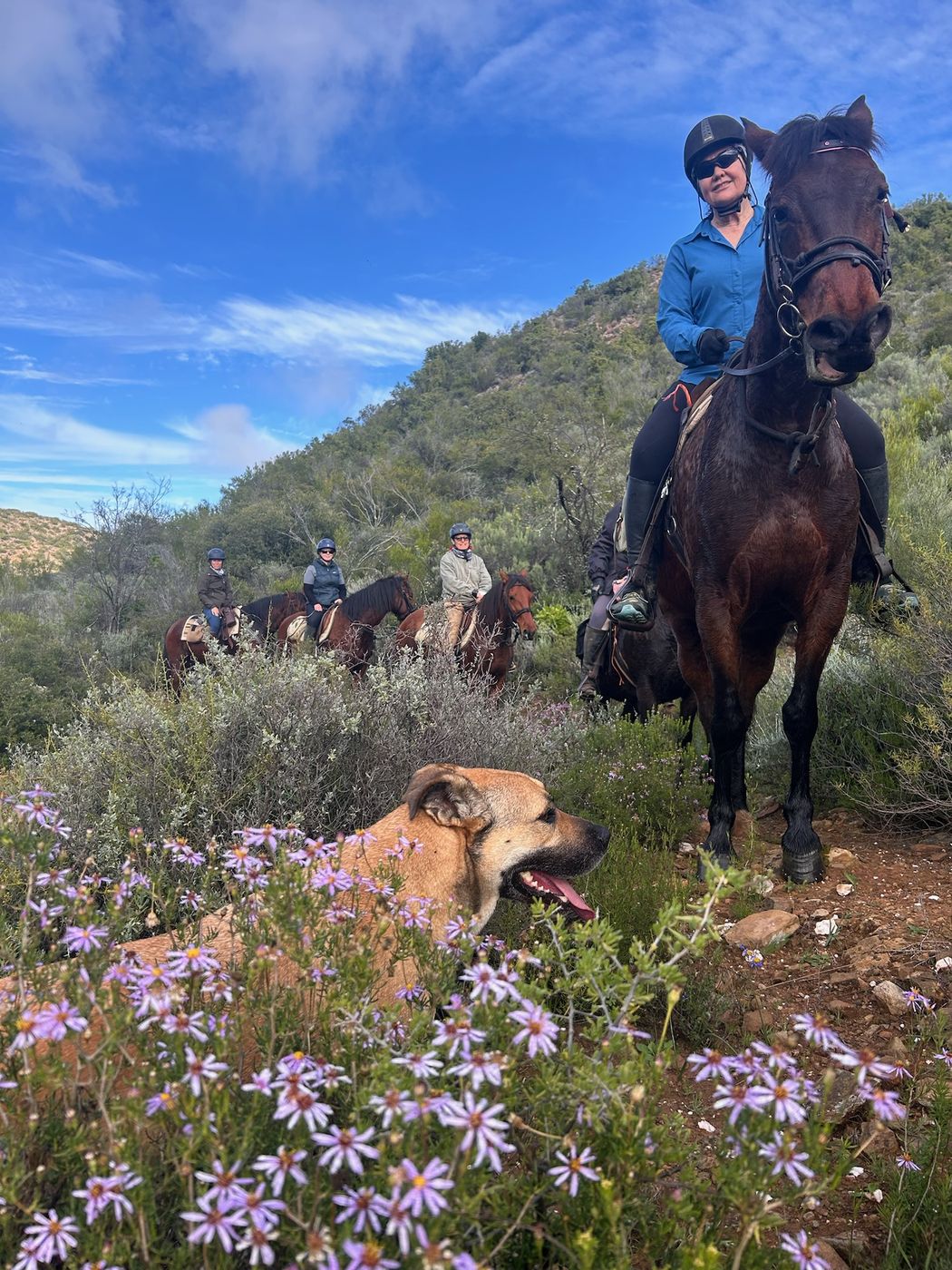 Rijden en overnachten op Doornkraal Farm in het Karoo bushveld