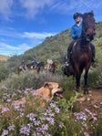 Rijden en overnachten op Doornkraal Farm in het Karoo bushveld