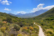 Winelands, Table Mountain & Hermanus Running Loop