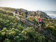Winelands, Table Mountain & Hermanus Running Loop