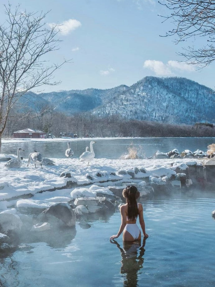 Hokkaido Powder Escape: Campervan Ski Adventure