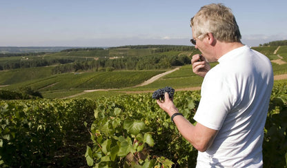Champagneballon &amp; plattelandsontsnapping: avontuur in de Franse wijnstreek