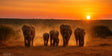 Spot de ‘Big 5’ vanaf je lunchtafel tijdens je self-drive door Addo Elephant Park
