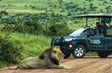 Spot de ‘Big 5’ vanaf je lunchtafel tijdens je self-drive door Addo Elephant Park