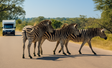 Spot de ‘Big 5’ vanaf je lunchtafel tijdens je self-drive door Addo Elephant Park
