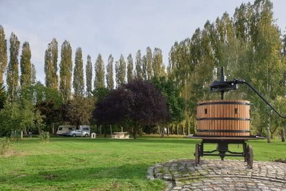 Champagneballon &amp; plattelandsontsnapping: avontuur in de Franse wijnstreek
