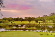 Speel op de ‘Wildste golfbanen ter wereld’ – Kruger National Park