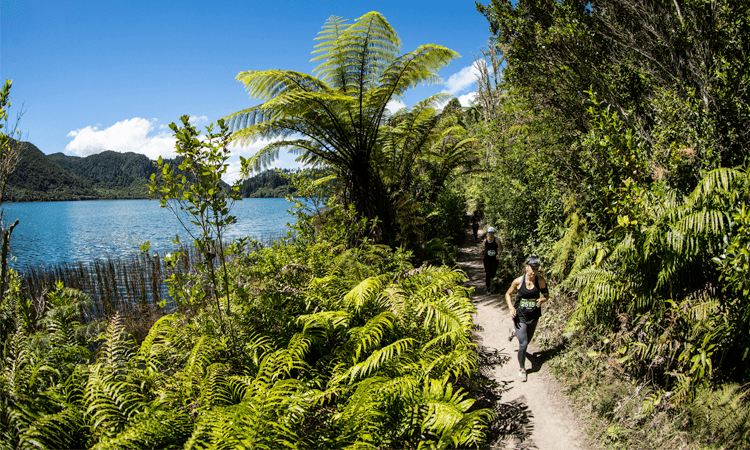 🏁 Tarawera Ultra-Trail + Run Rotorua, Taupō &amp; Bay of Islands (8 februari '26)