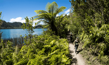 🏁 Tarawera Ultra-Trail + Run Rotorua, Taupō &amp; Bay of Islands (8 februari '26)