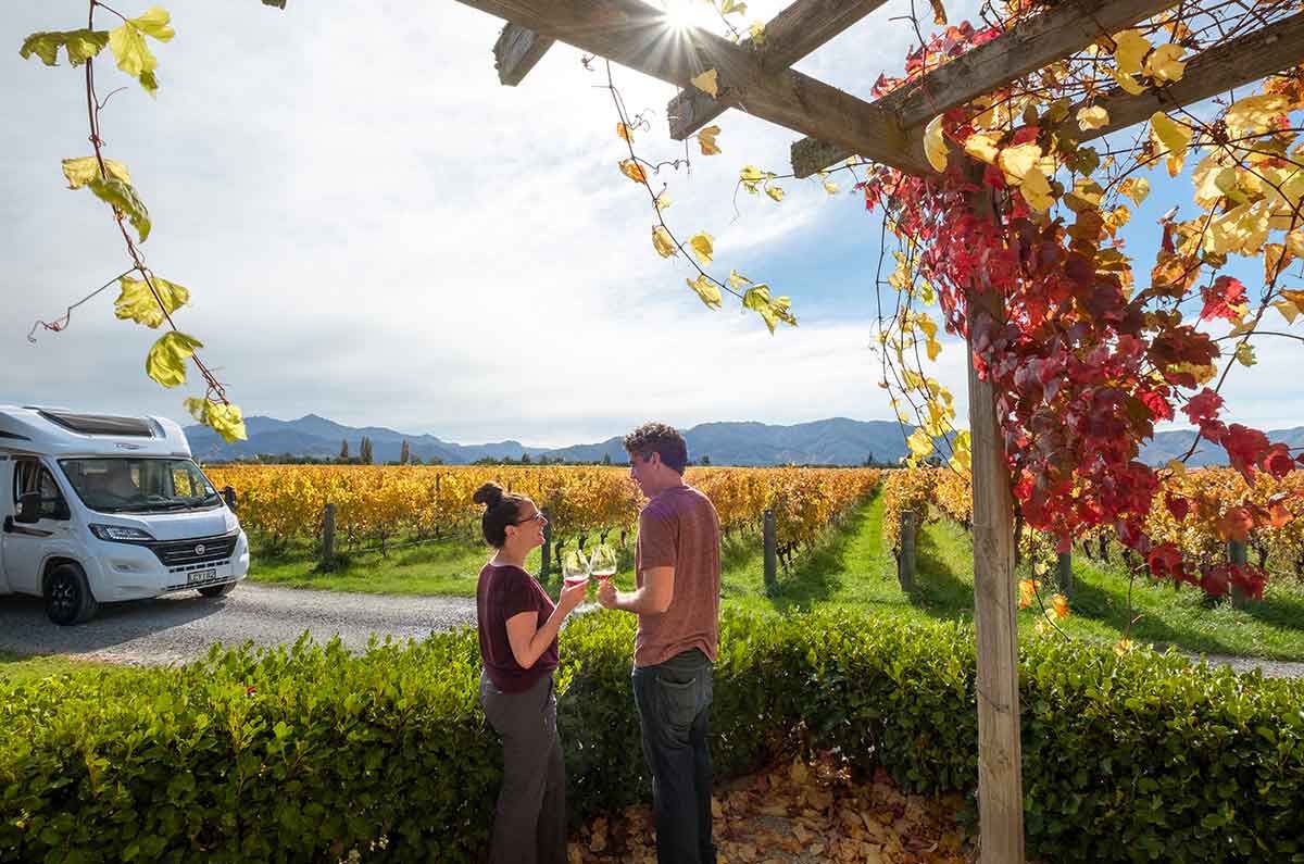 Cape Kidnappers, Vineyards & Hot Springs
