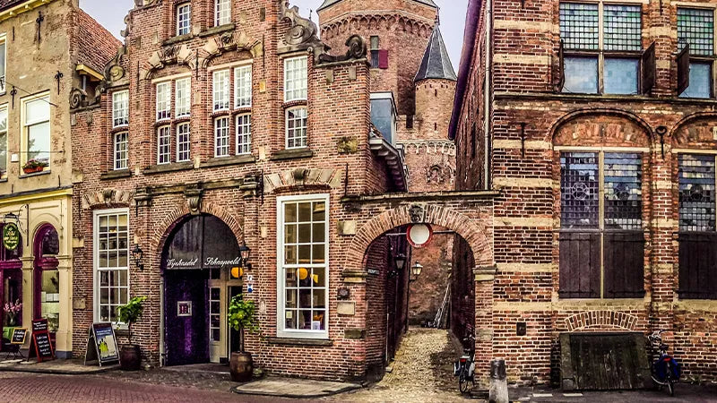 Explore Delft to Amsterdam: Culture, Veluwe & Canals