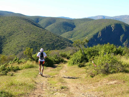 🏁 Addo Elephant Trail Race + Run Garden Route (19th Mar '26)
