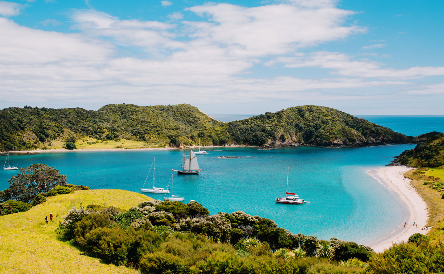 Cape Kidnappers, Vineyards & Hot Springs
