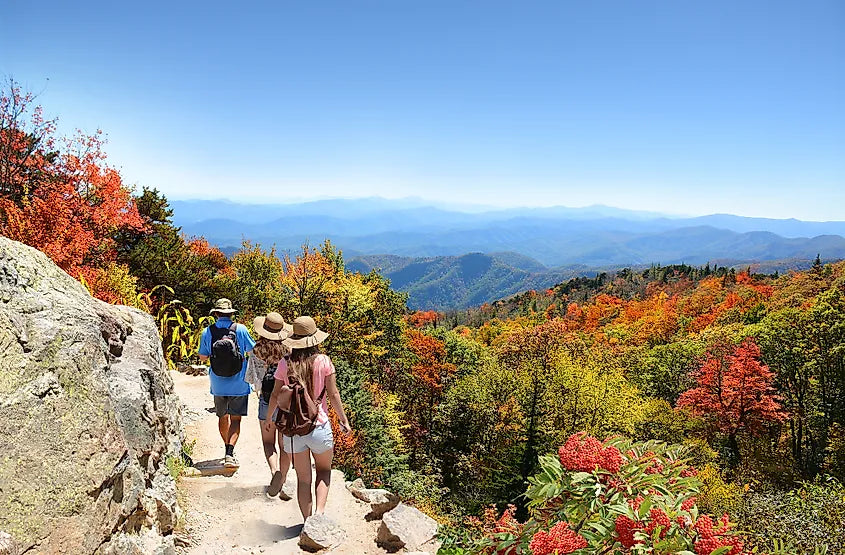 Blue Ridge Balloon & Vineyard Escape: schilderachtig avontuur in Noord-Carolina en Virginia