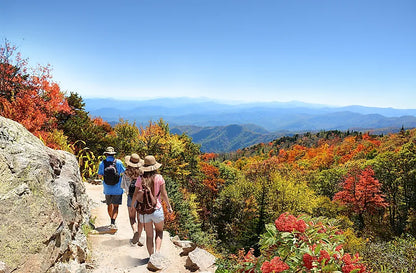 Blue Ridge Balloon & Vineyard Escape: schilderachtig avontuur in Noord-Carolina en Virginia