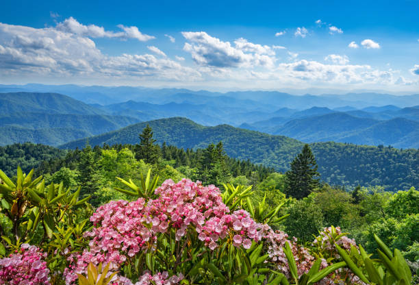 Blue Ridge Balloon & Vineyard Escape: schilderachtig avontuur in Noord-Carolina en Virginia