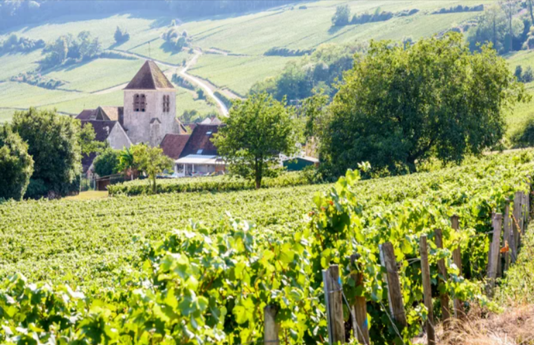 Champagneballon &amp; plattelandsontsnapping: avontuur in de Franse wijnstreek
