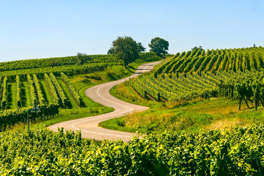 Champagne Balloon & Countryside Escape: France Wine Country Adventure