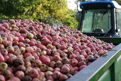 Verblijf op een werkende ciderboerderij: Wye Valley and Snowdonia